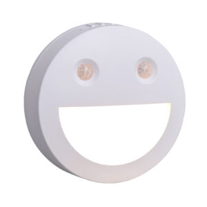 Led smart night Light SN2