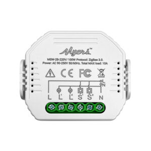 Smart Light Switch MSW-2B-220V/100W ZB